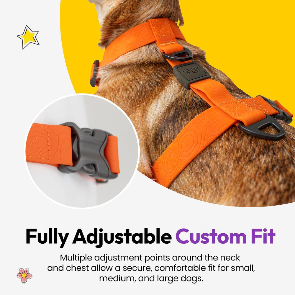 Sealskin Harness, Orange