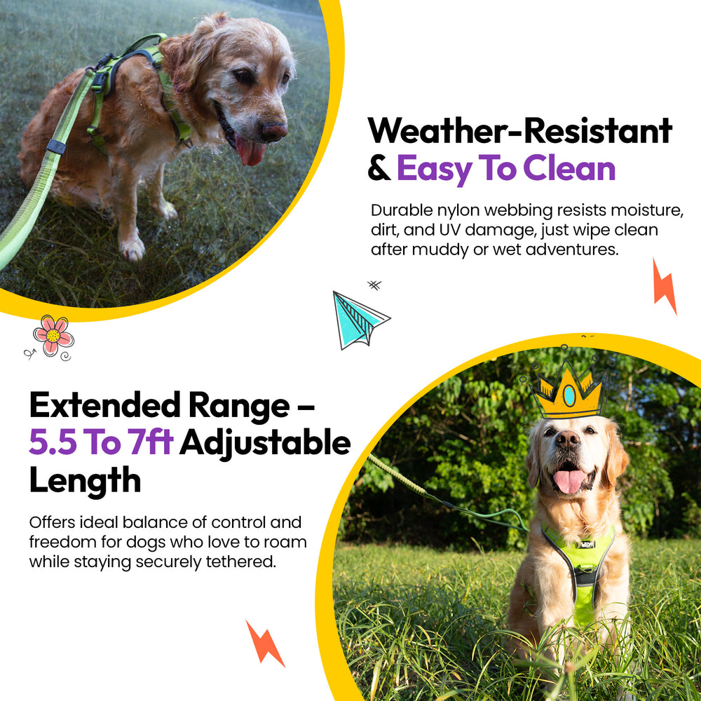 Explorer Bungee Leash, Green