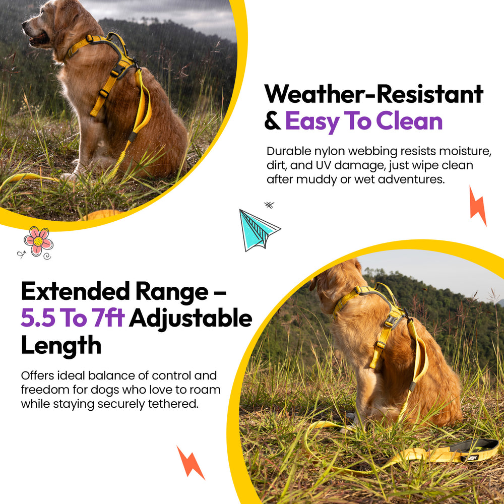 Explorer Bungee Leash, Yellow