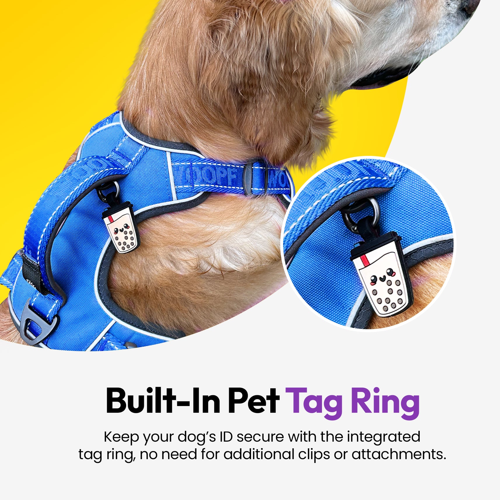 Entdecker Geschirr ohne Ziehen