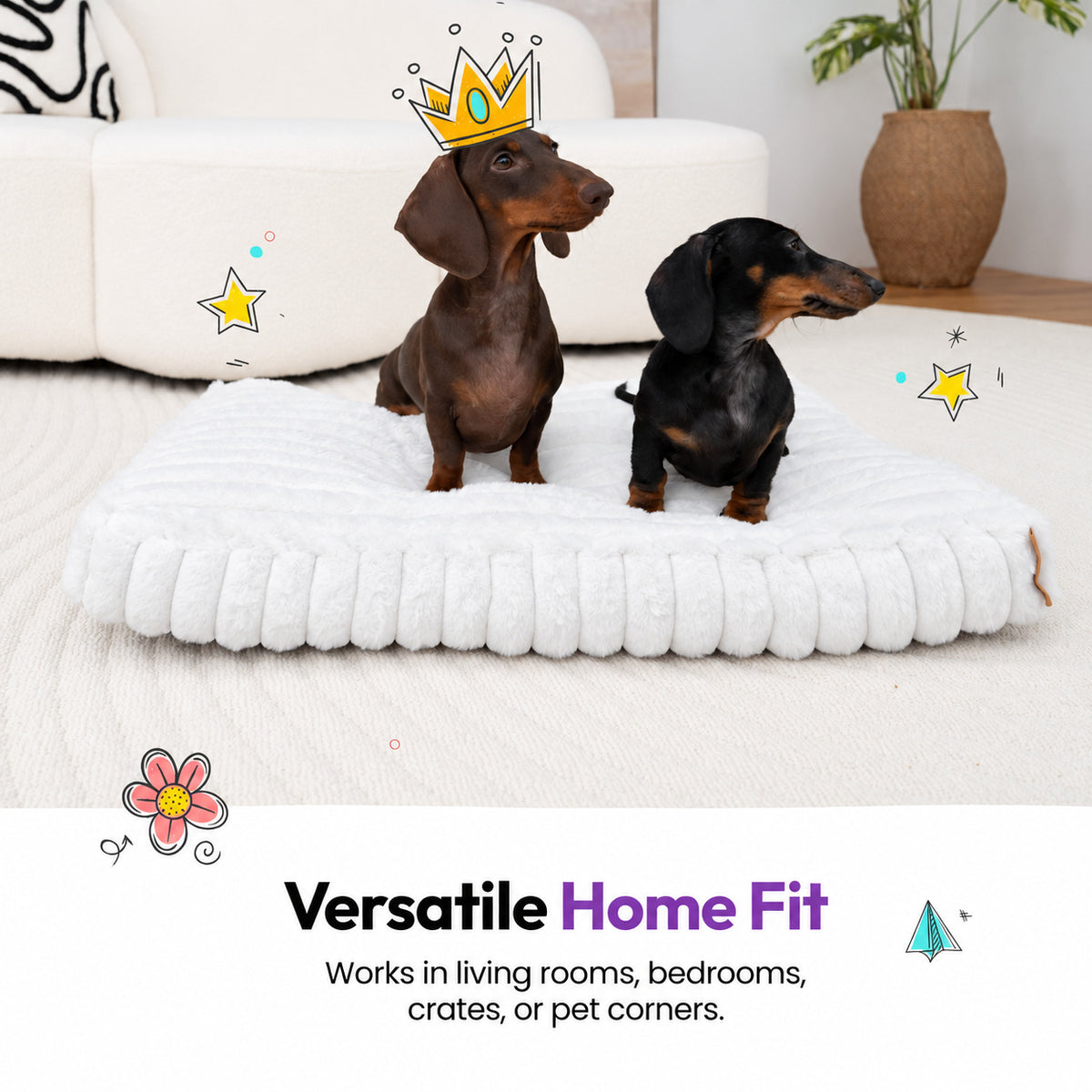 White | Furry Corduroy Sleeping Mat: Two dachshunds, one in a paper crown, on the White mat, captioned Versatile Home Fit