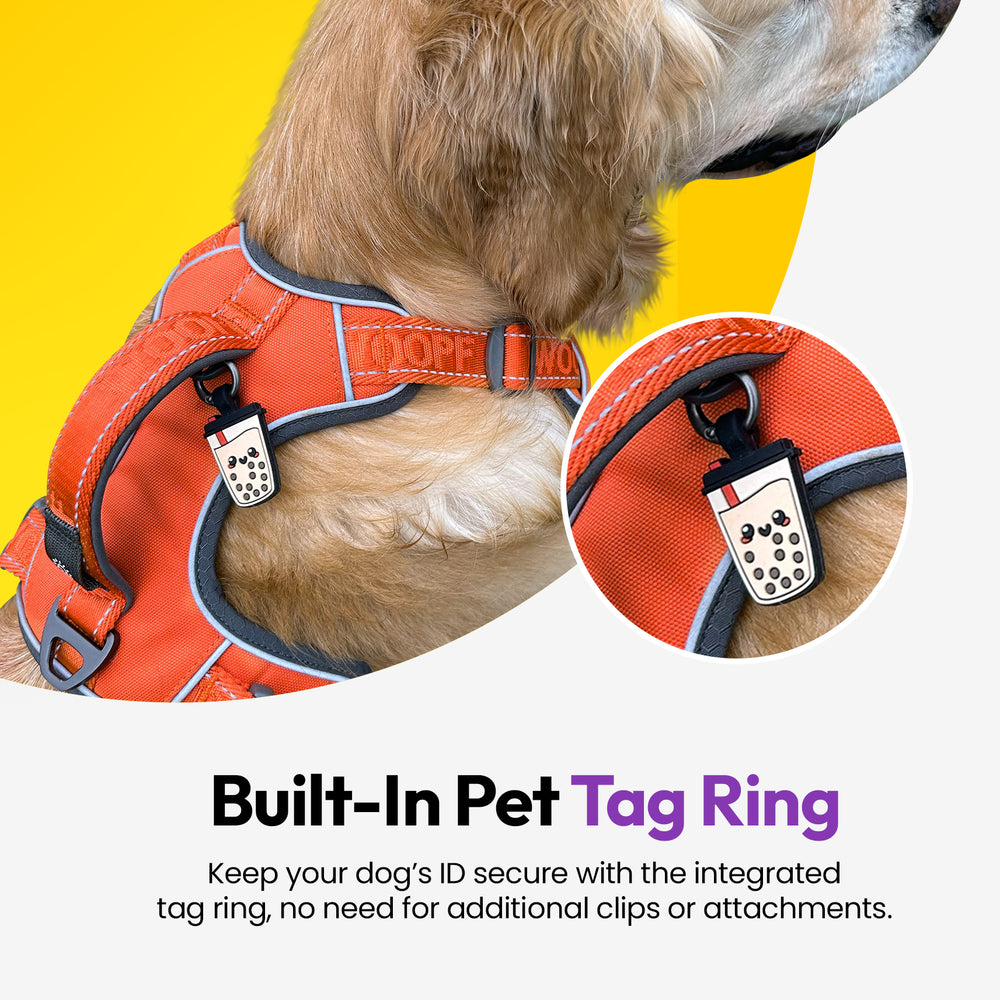 Explorer Harness, Orange