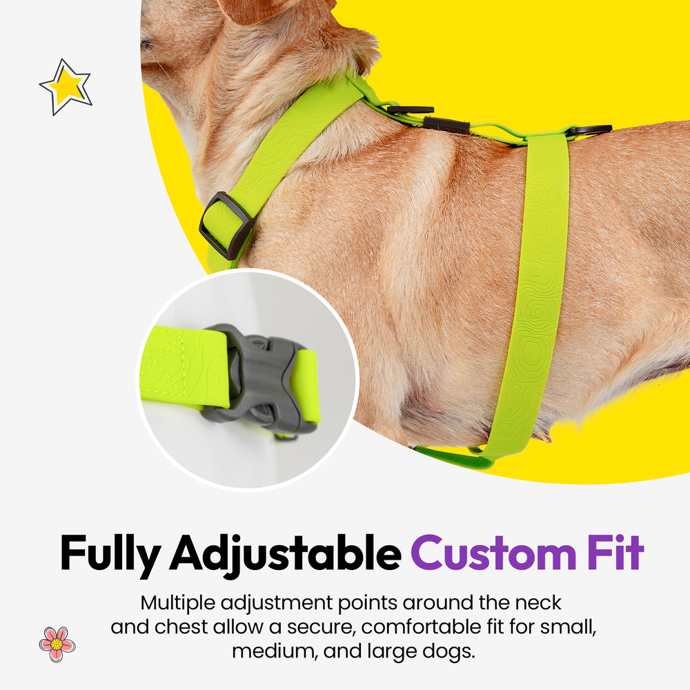 Sealskin Harness, Green