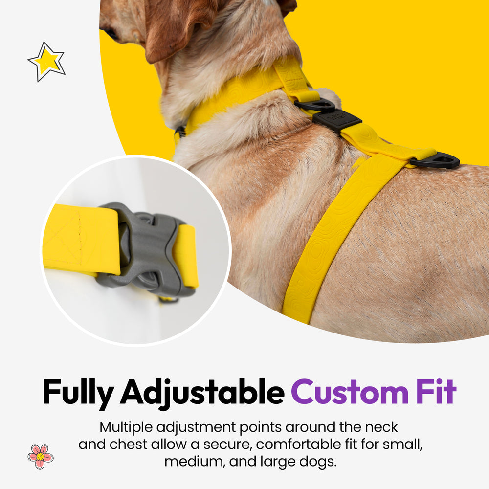 Sealskin Harness, Yellow