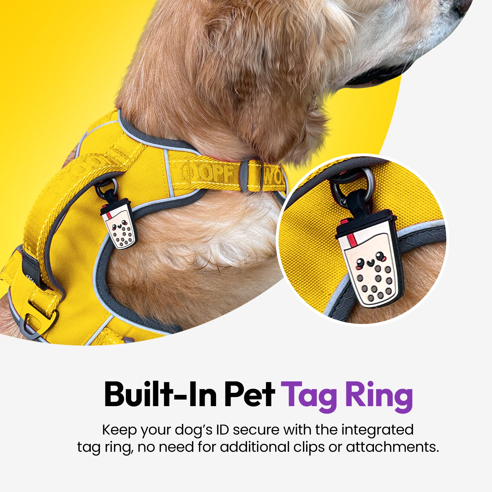 Entdecker Geschirr ohne Ziehen