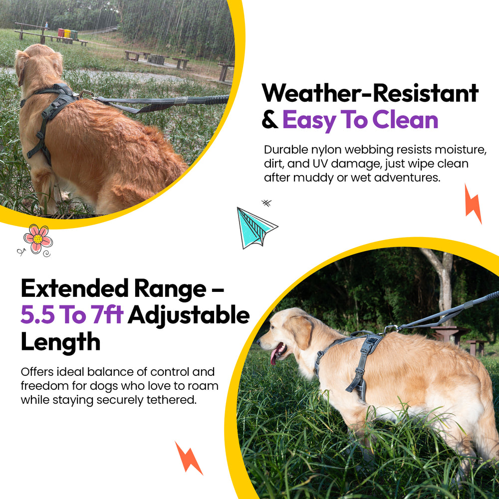 Explorer Bungee Leash, Grey