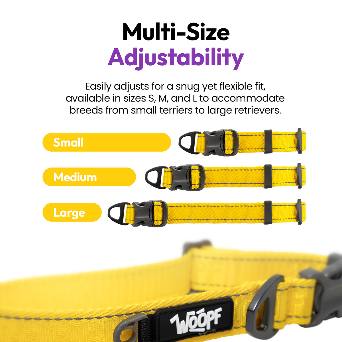 Yellow | Explorer Collar: The Yellow collar in Small, Medium and Large, on a card headed Multi-Size Adjustability