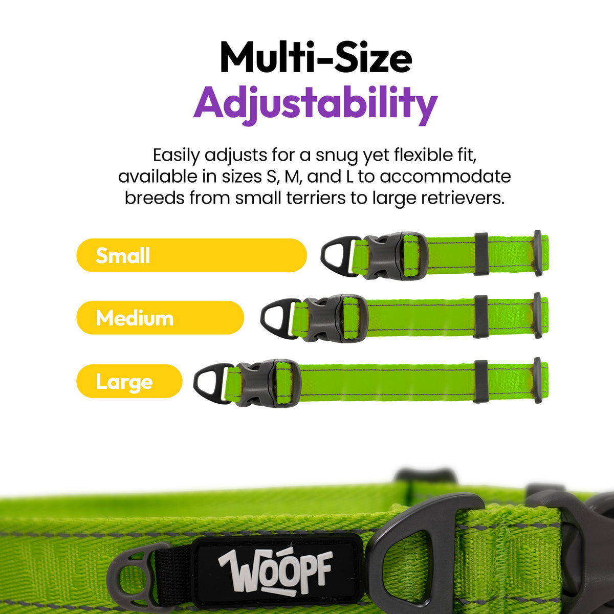 Green | Explorer Collar: The Green collar in Small, Medium and Large, on a card headed Multi-Size Adjustability