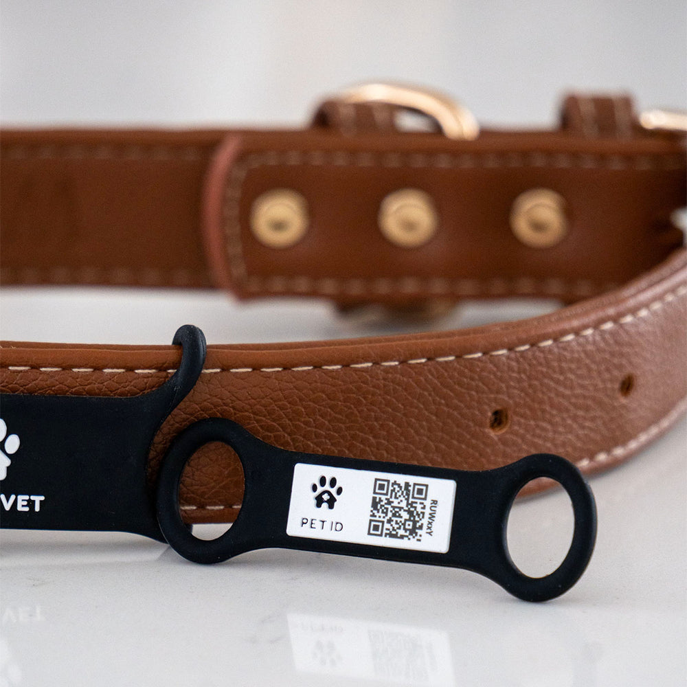 Smart ID Tag, Slide-On