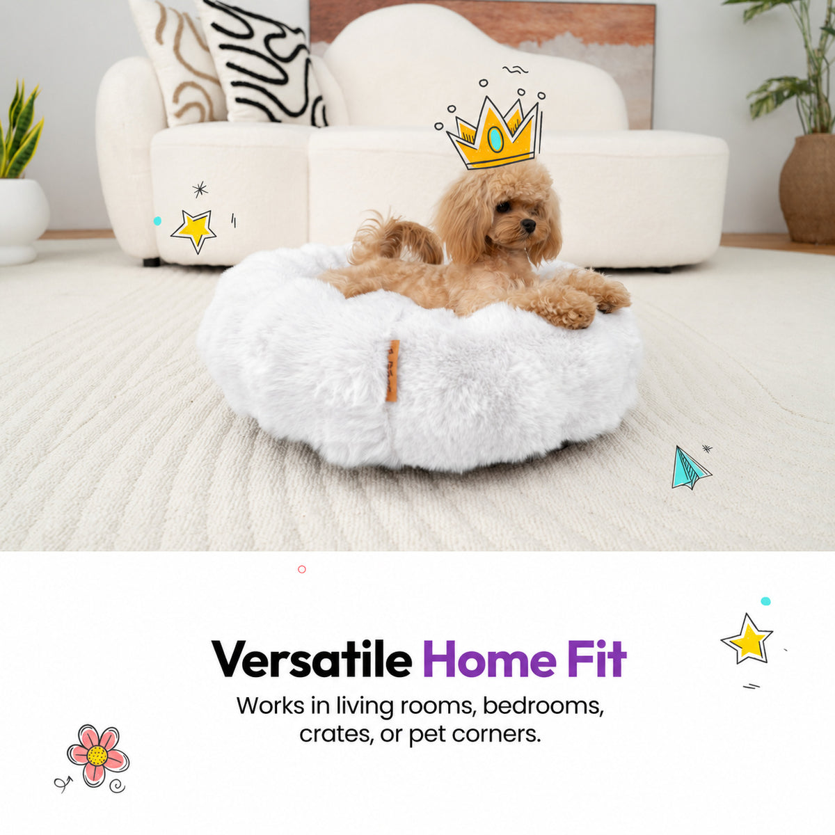 White | Furry Curves Round Bed: Versatile home fit: a small curly-haired dog in the White round bed in a living room