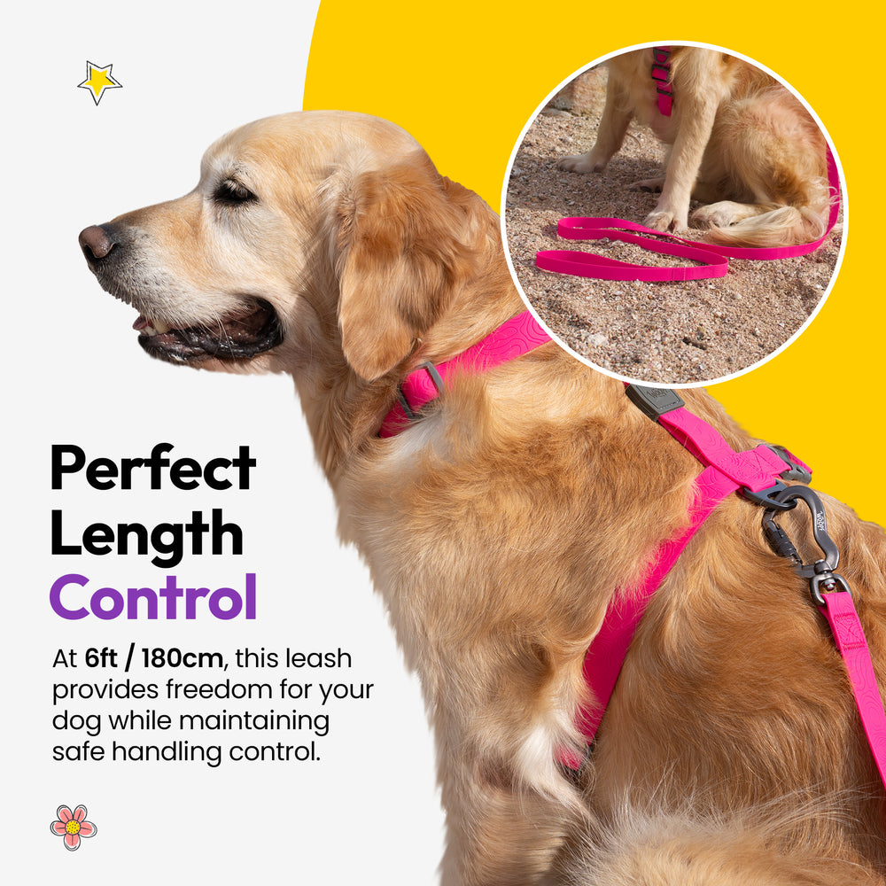 Sealskin Extendable Leash, Pink