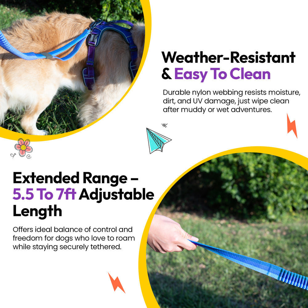 Explorer Bungee Leash, Blue