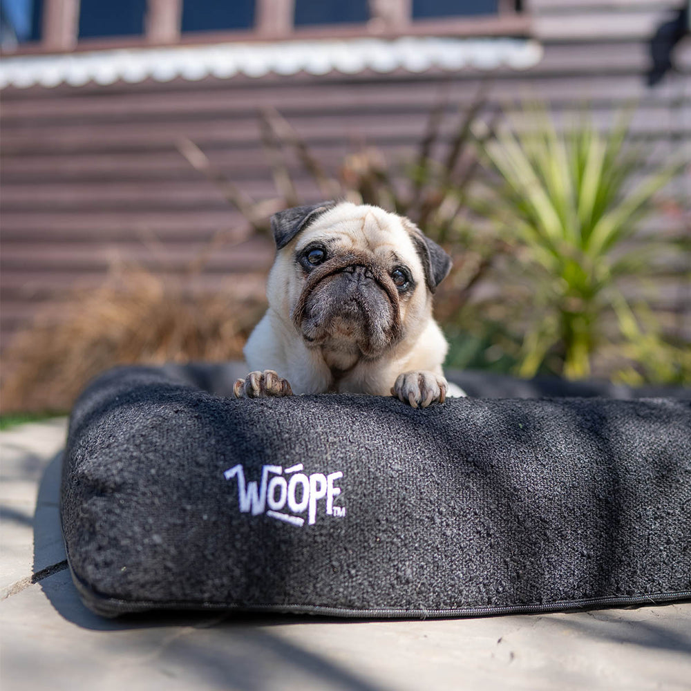 SNÜZ Bed Cover (Dig-Proof & Waterproof)