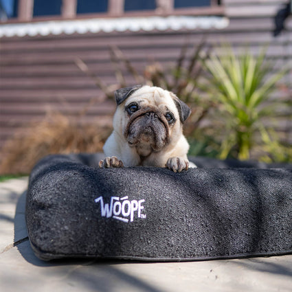 SNÜZ Bed Cover (Dig-Proof & Waterproof)