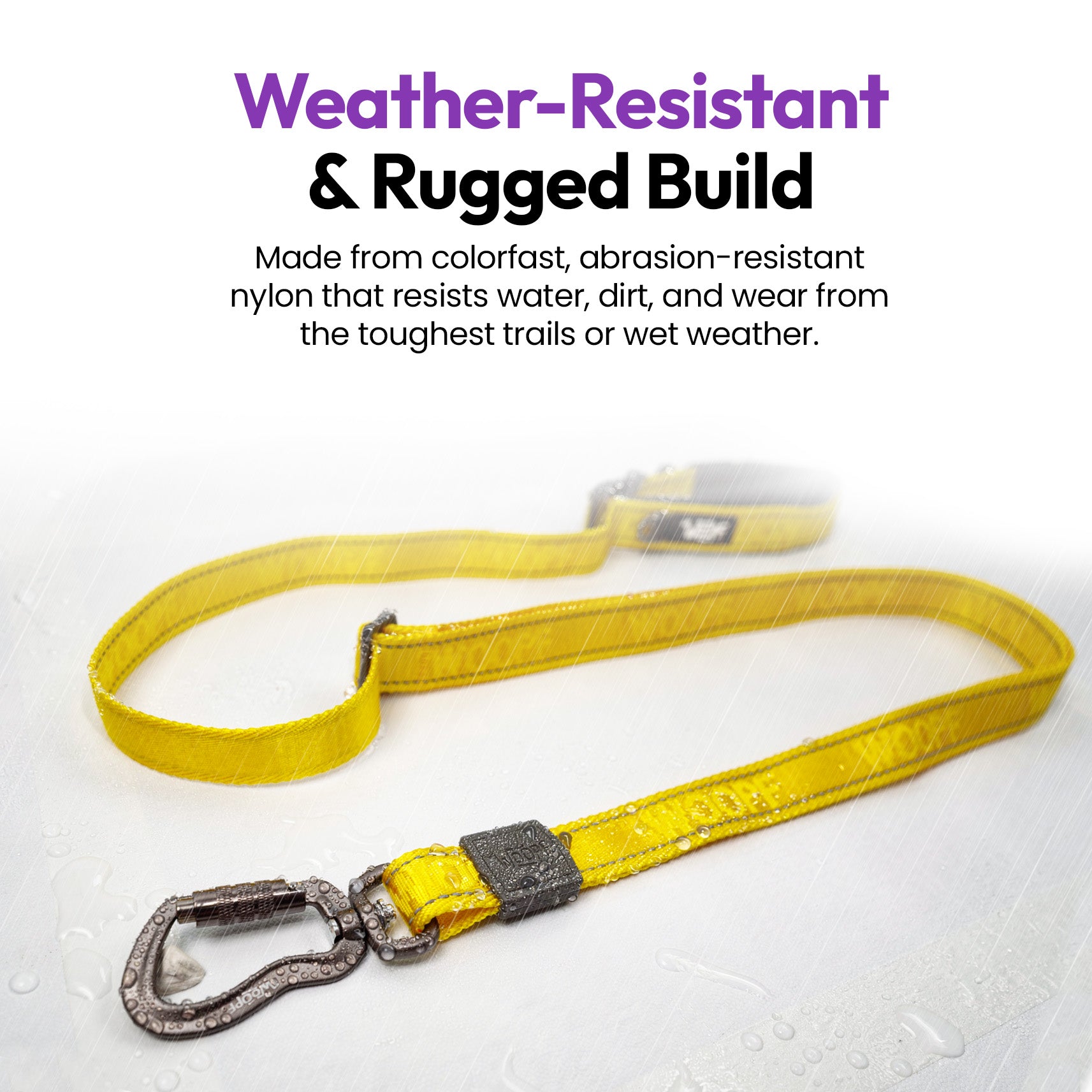 Laisse extensible Explorateur