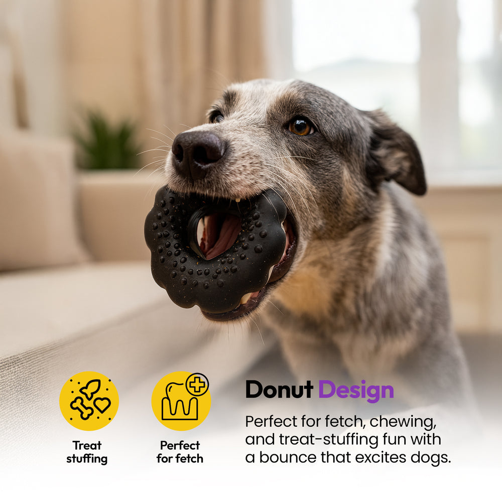 Chewster Donut, Black
