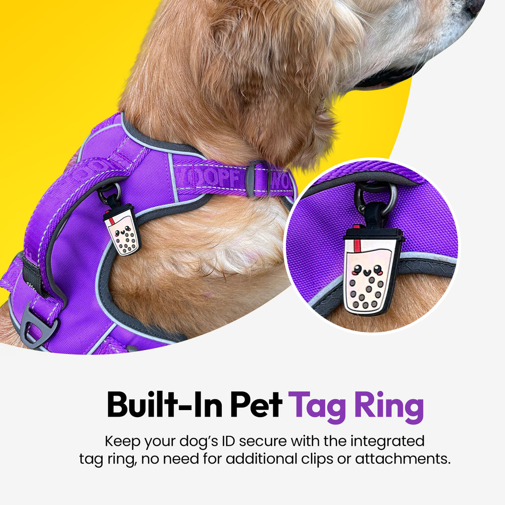 Explorer Harness, Purple