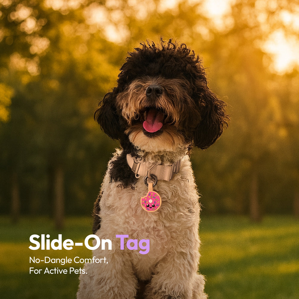 Smart ID Tag, Donut