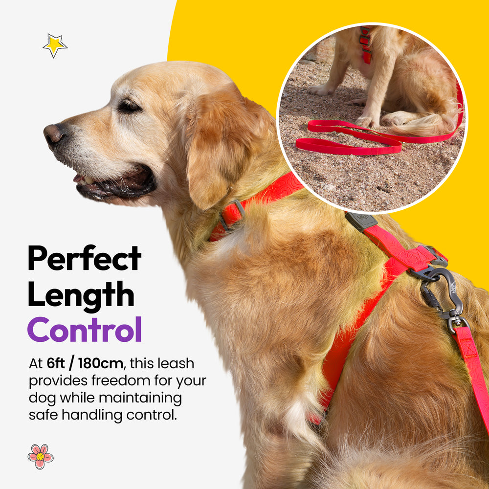 Sealskin Extendable Leash, Red