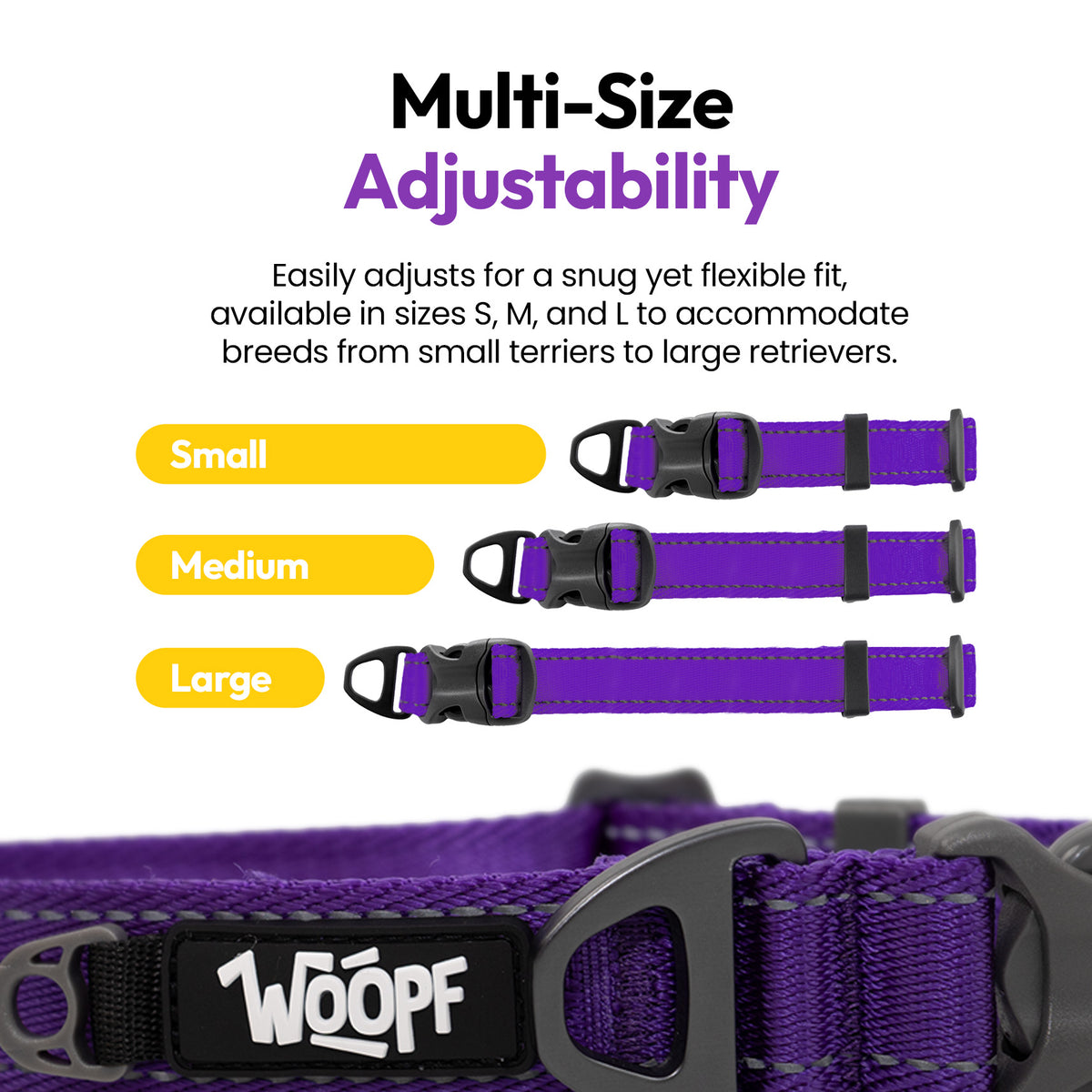 Purple | Explorer Collar: The Purple collar in Small, Medium and Large, on a card headed Multi-Size Adjustability