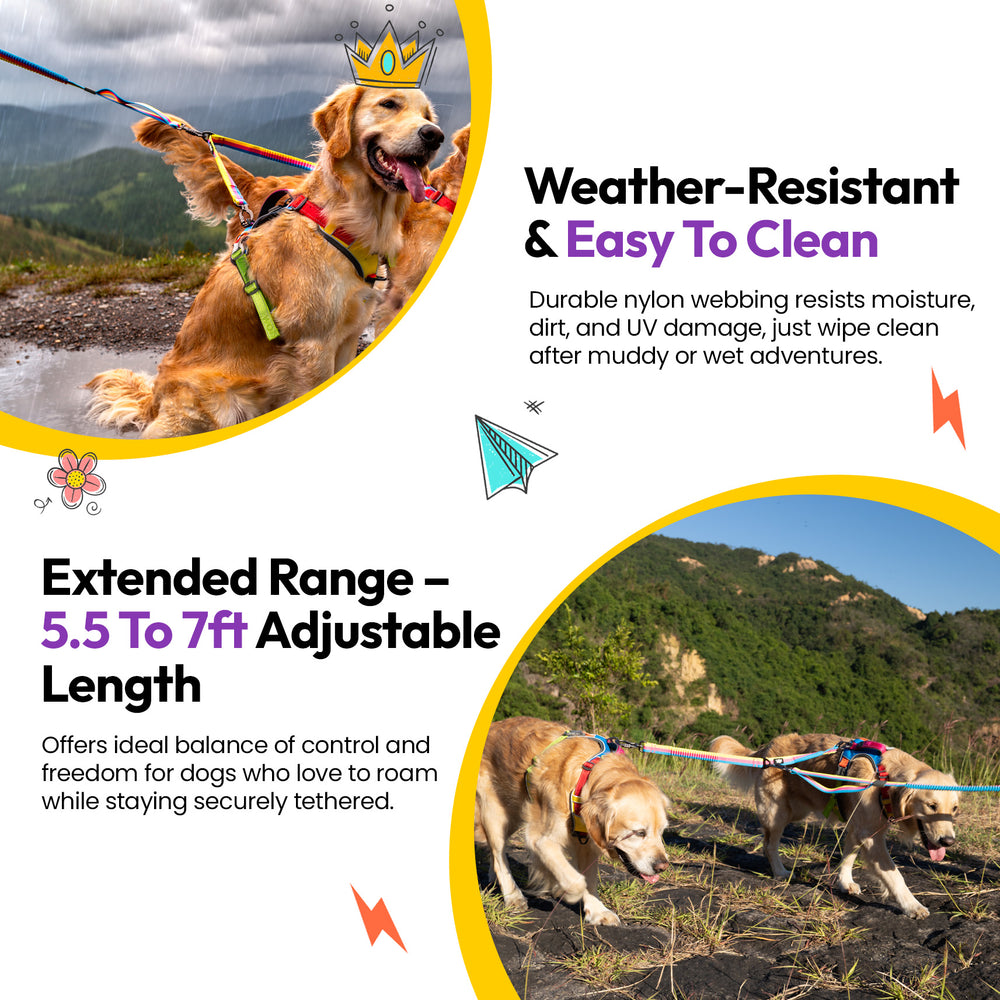 Explorer Bungee Leash, Rainbow
