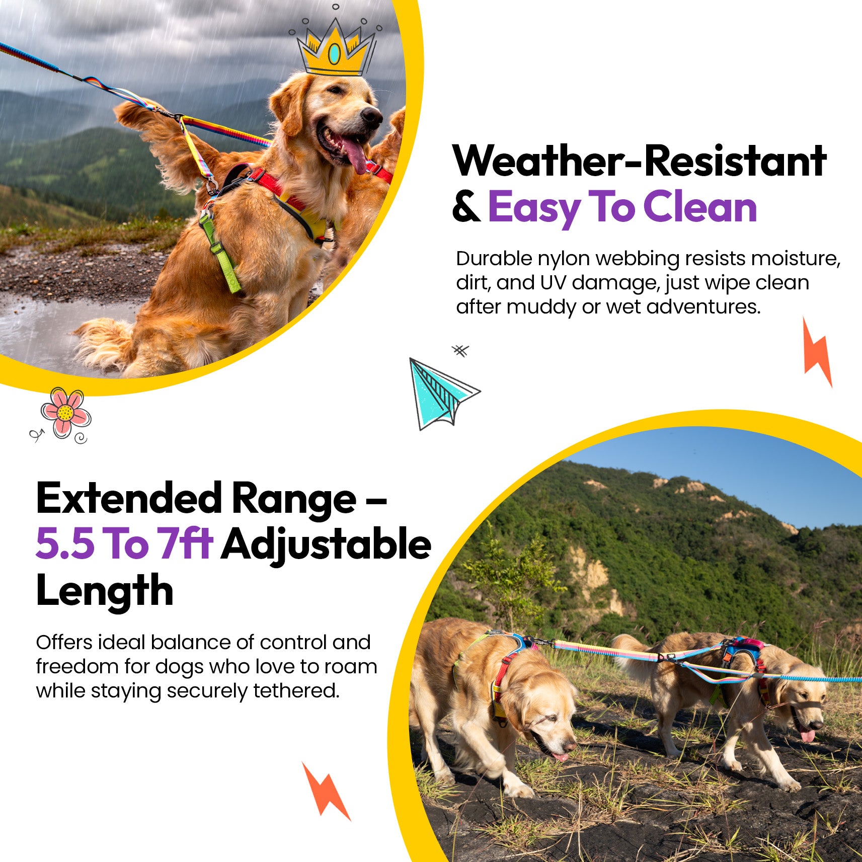 Laisse élastique d'explorateur