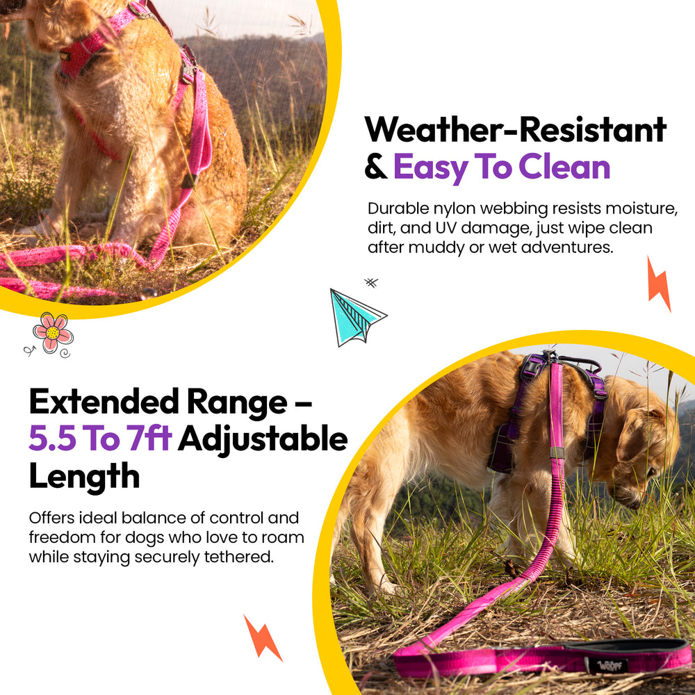 Explorer Bungee Leash, Pink