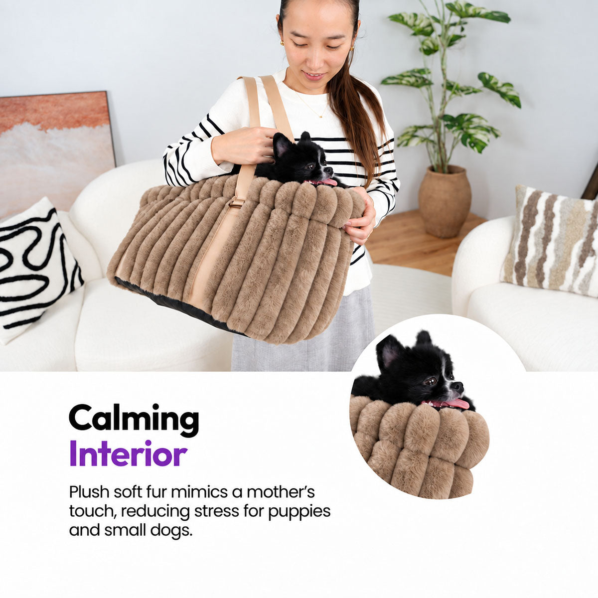 Brown | Corduroy Calming Dog Carrier: Woman with a dog in the Brown carrier, with a Pomeranian inset, on a graphic card