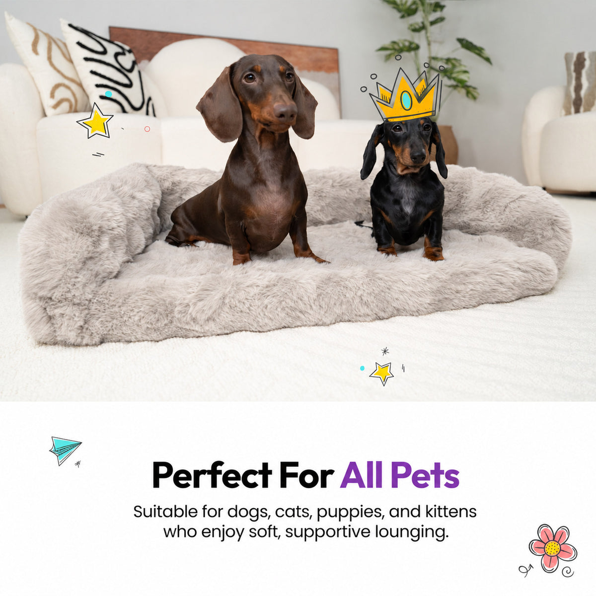 Cream | Furry Curves Open Front Rectangle Bed: Perfect for all pets: two dachshunds on the Cream bed
