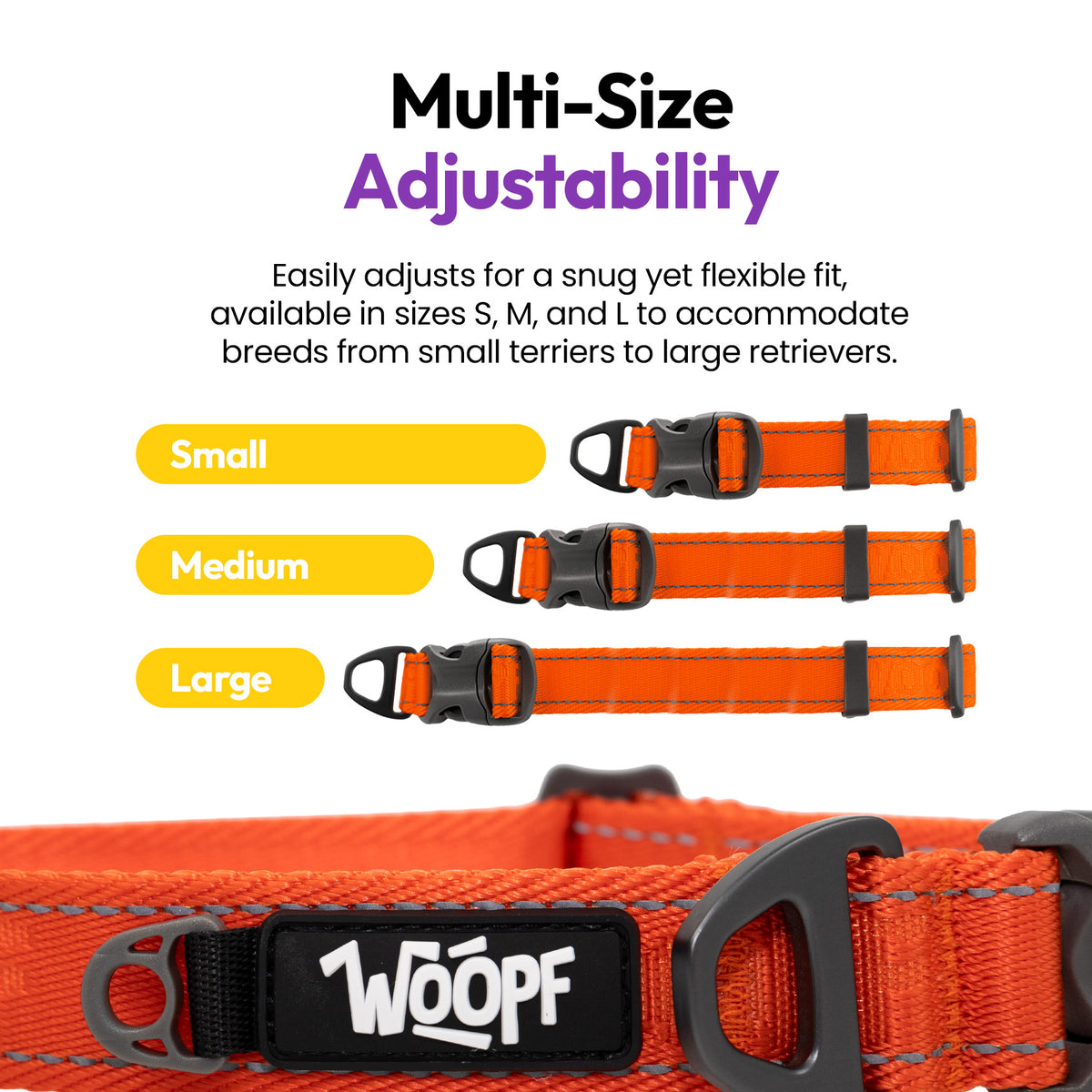 Orange | Explorer Collar: The Orange collar in Small, Medium and Large, on a card headed Multi-Size Adjustability