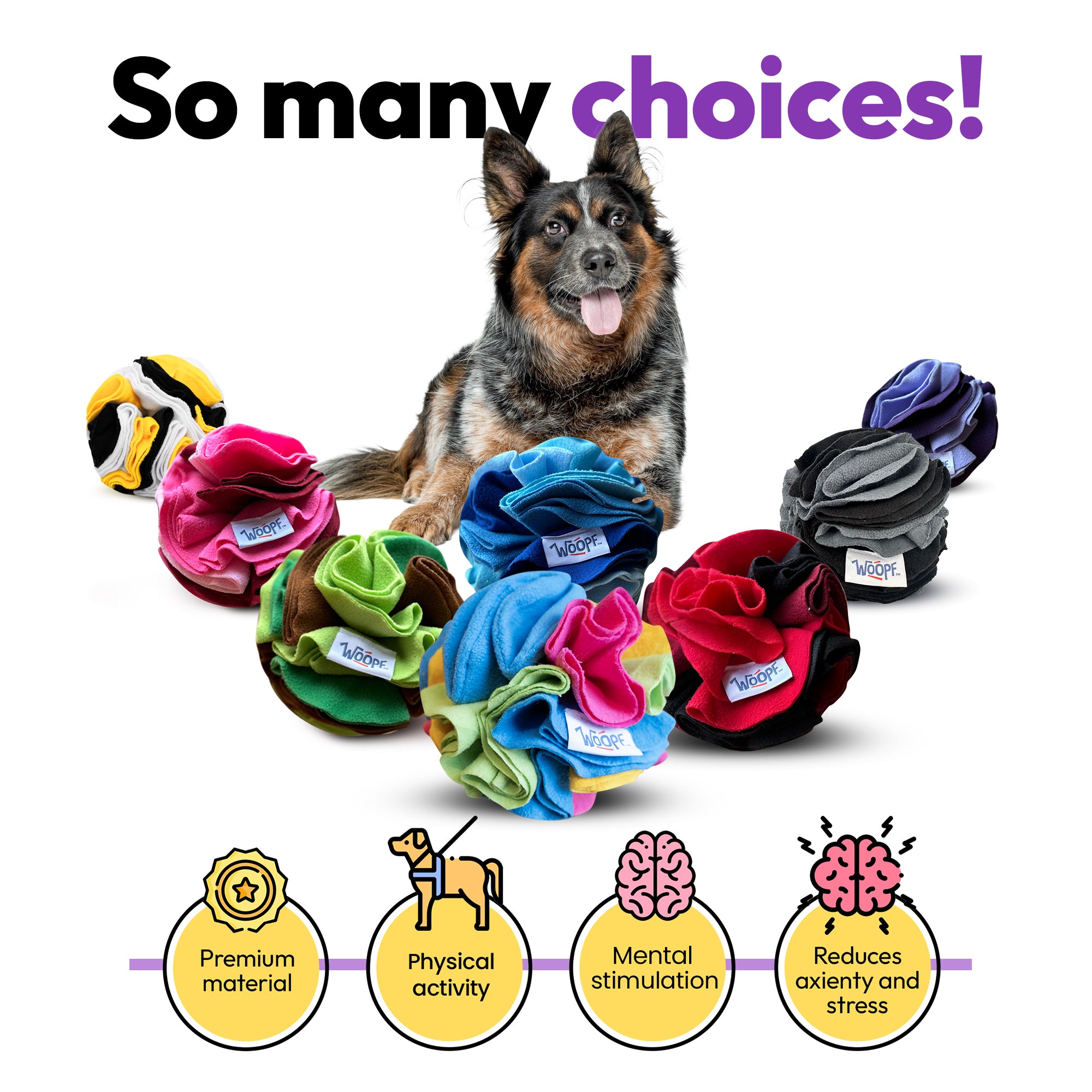 SNIFF N SNUFFLE BUNDLE