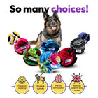 Dog with colorful dog toys and text 'So many choices!' on a white background