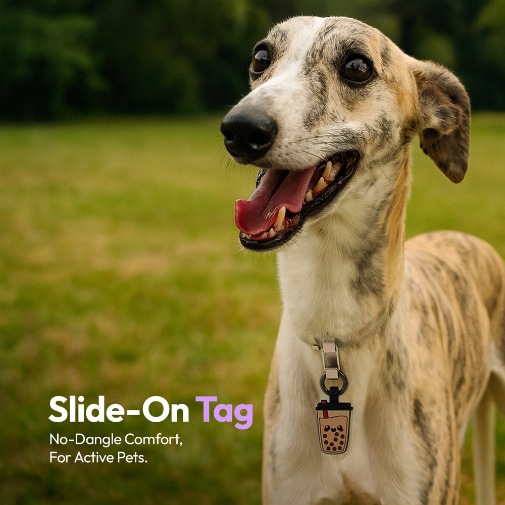 Smart ID Tag, Boba