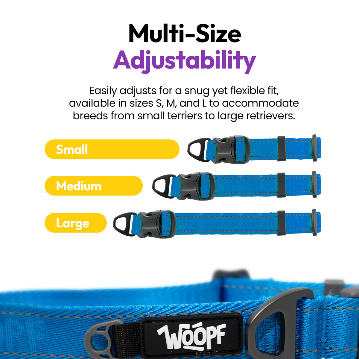 Blue | Explorer Collar: The Blue collar in Small, Medium and Large, on a card headed Multi-Size Adjustability