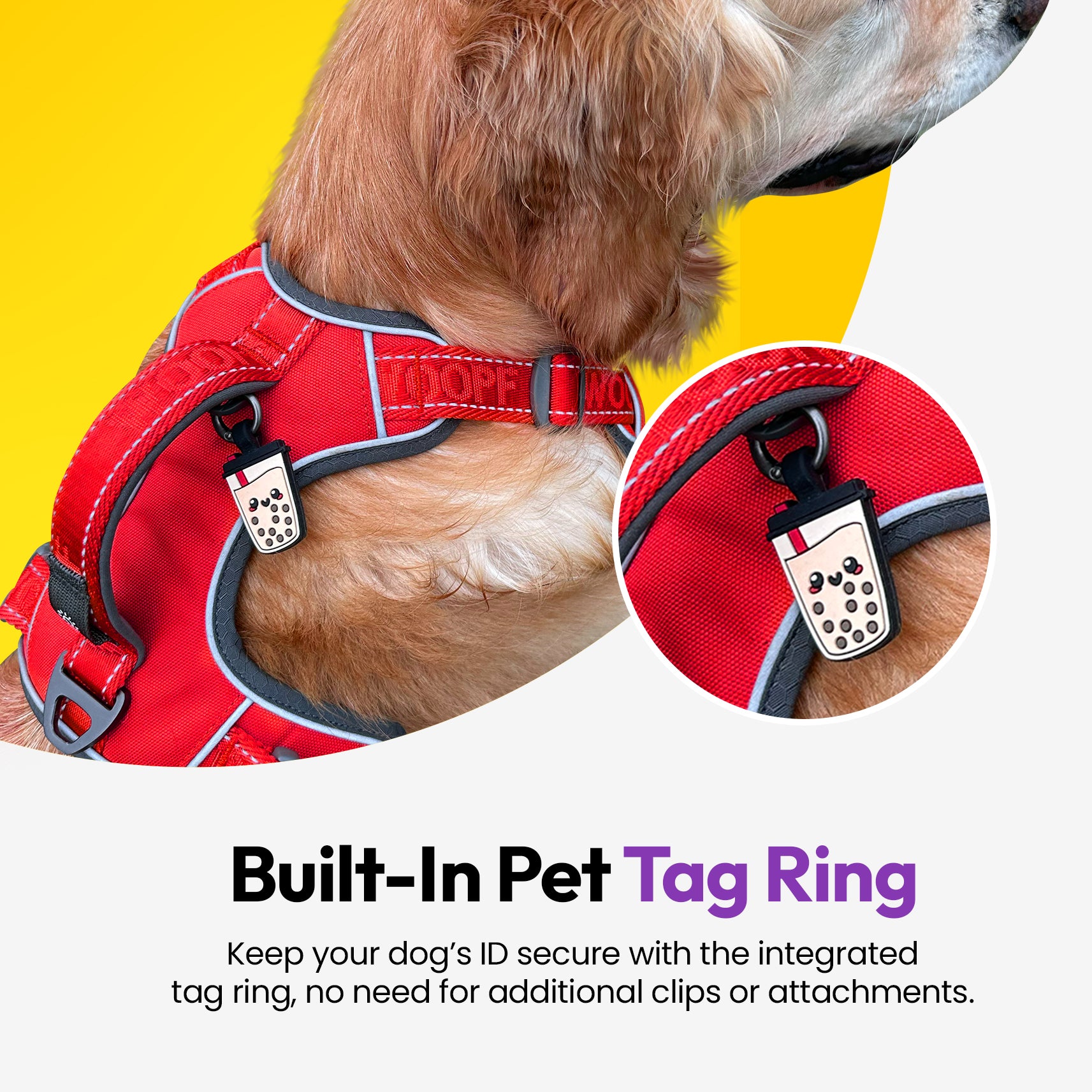 Entdecker Geschirr ohne Ziehen