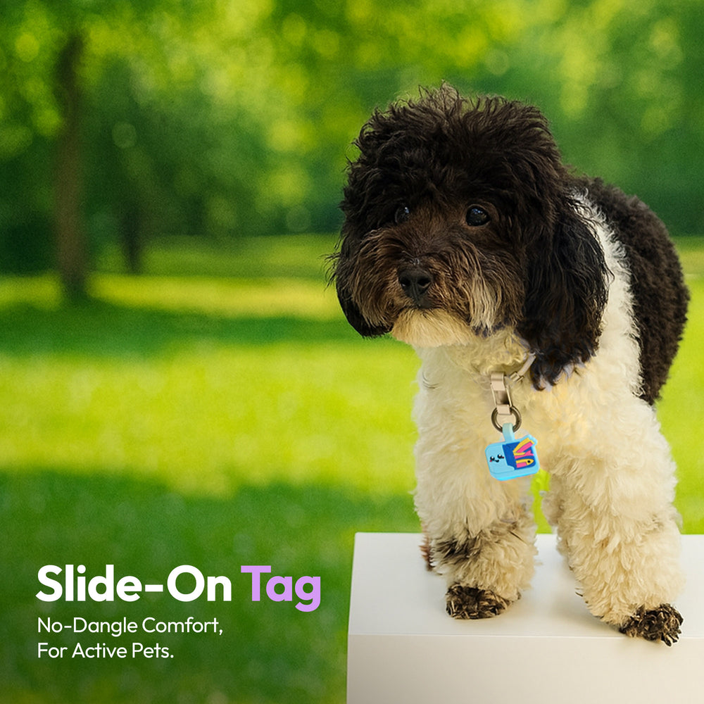 Smart ID Tag, Sardines