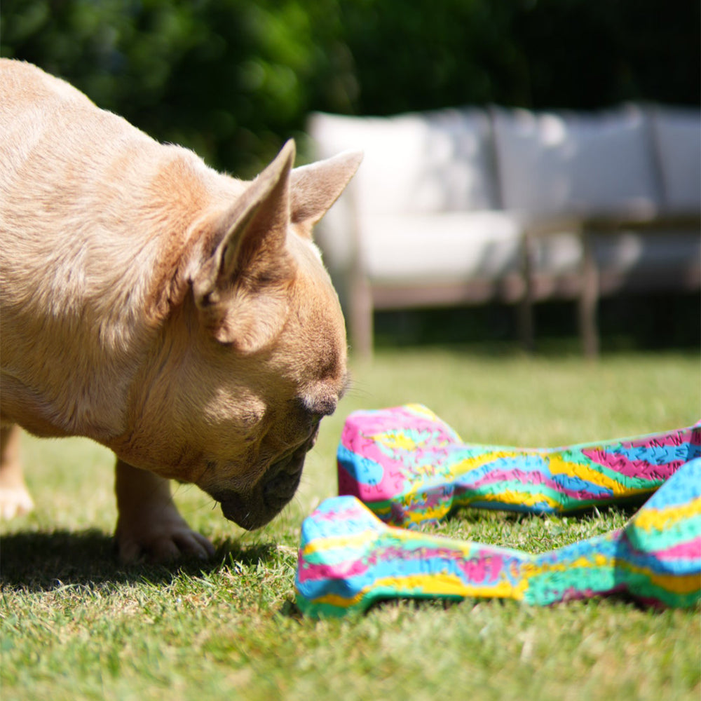 Chewster Blocky Bone, Rainbow