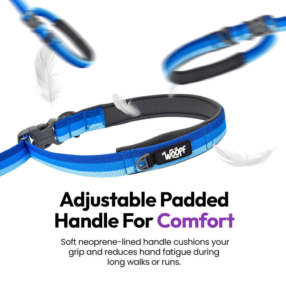 Explorer Bungee Leash, Blue