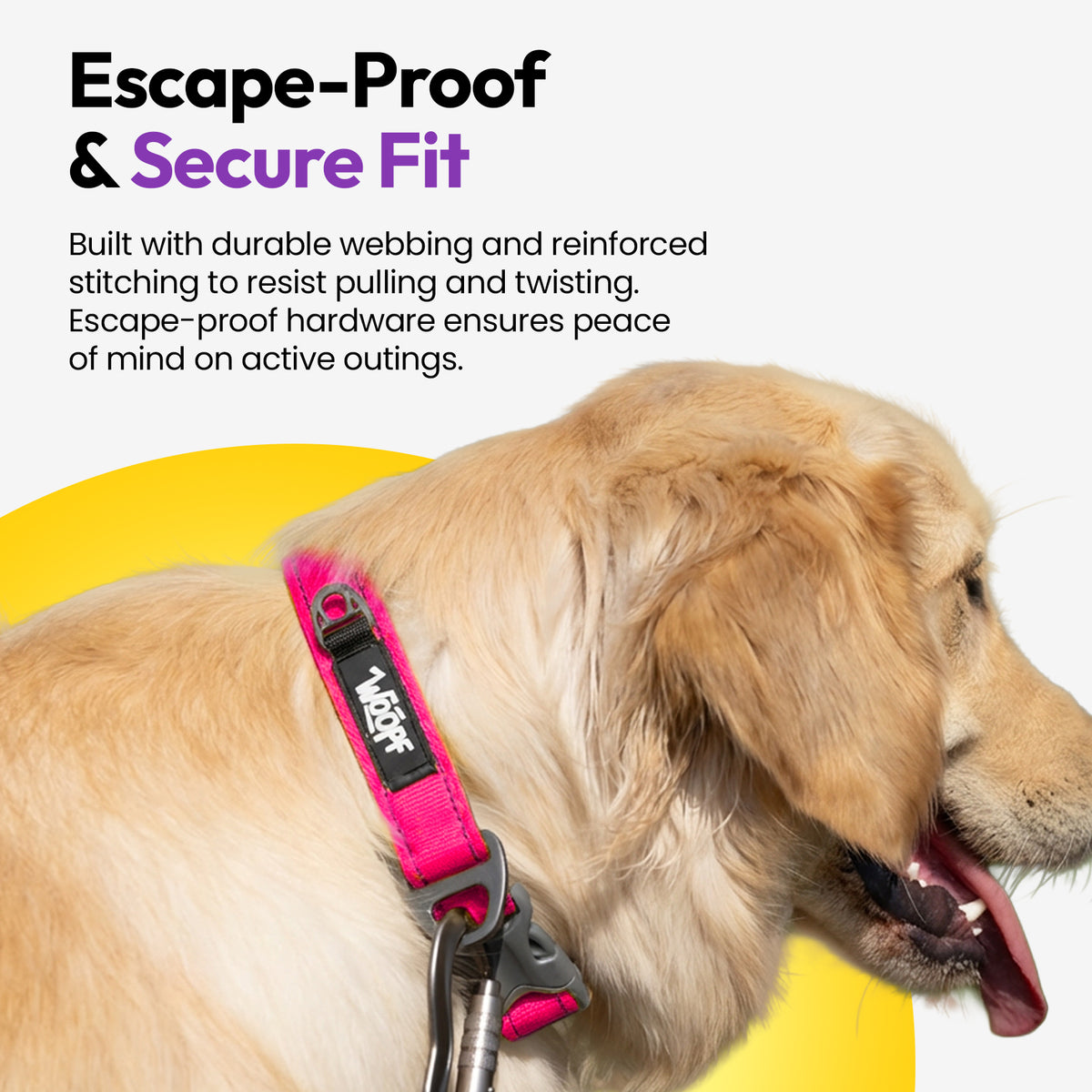 Pink | Explorer Collar: German shepherd wearing the Pink collar, on a card headed Escape-Proof & Secure Fit