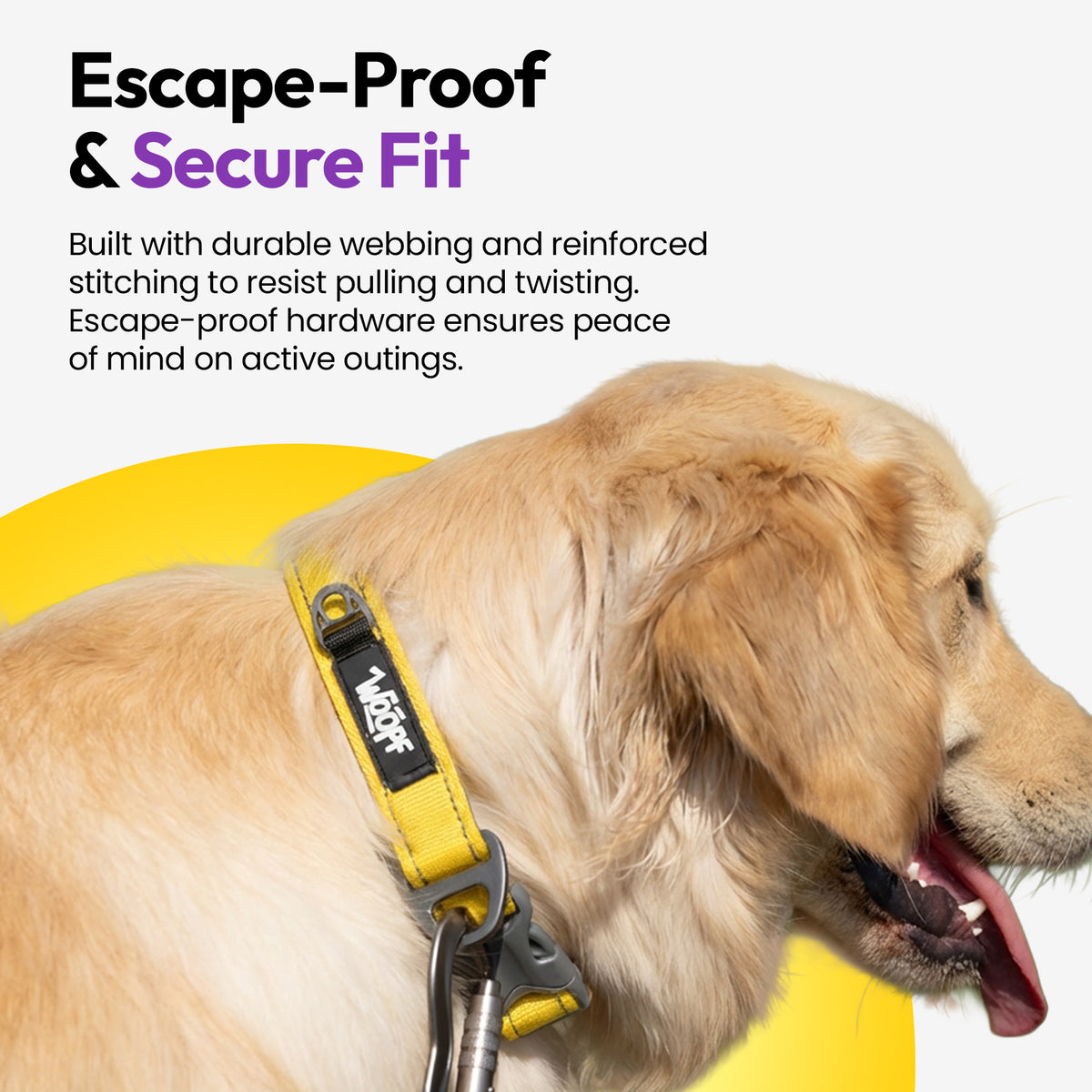 Yellow | Explorer Collar: German shepherd wearing the Yellow collar, on a card headed Escape-Proof & Secure Fit