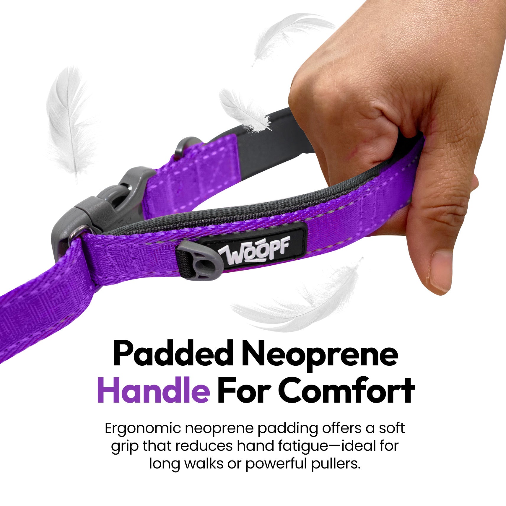 Laisse extensible Explorateur