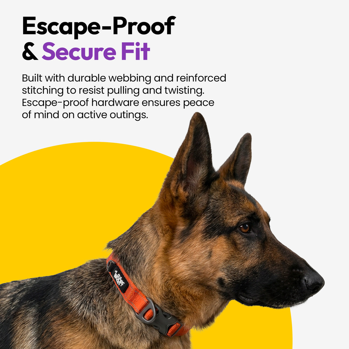 Orange | Explorer Collar: German shepherd wearing the Orange collar, on a card headed Escape-Proof & Secure Fit