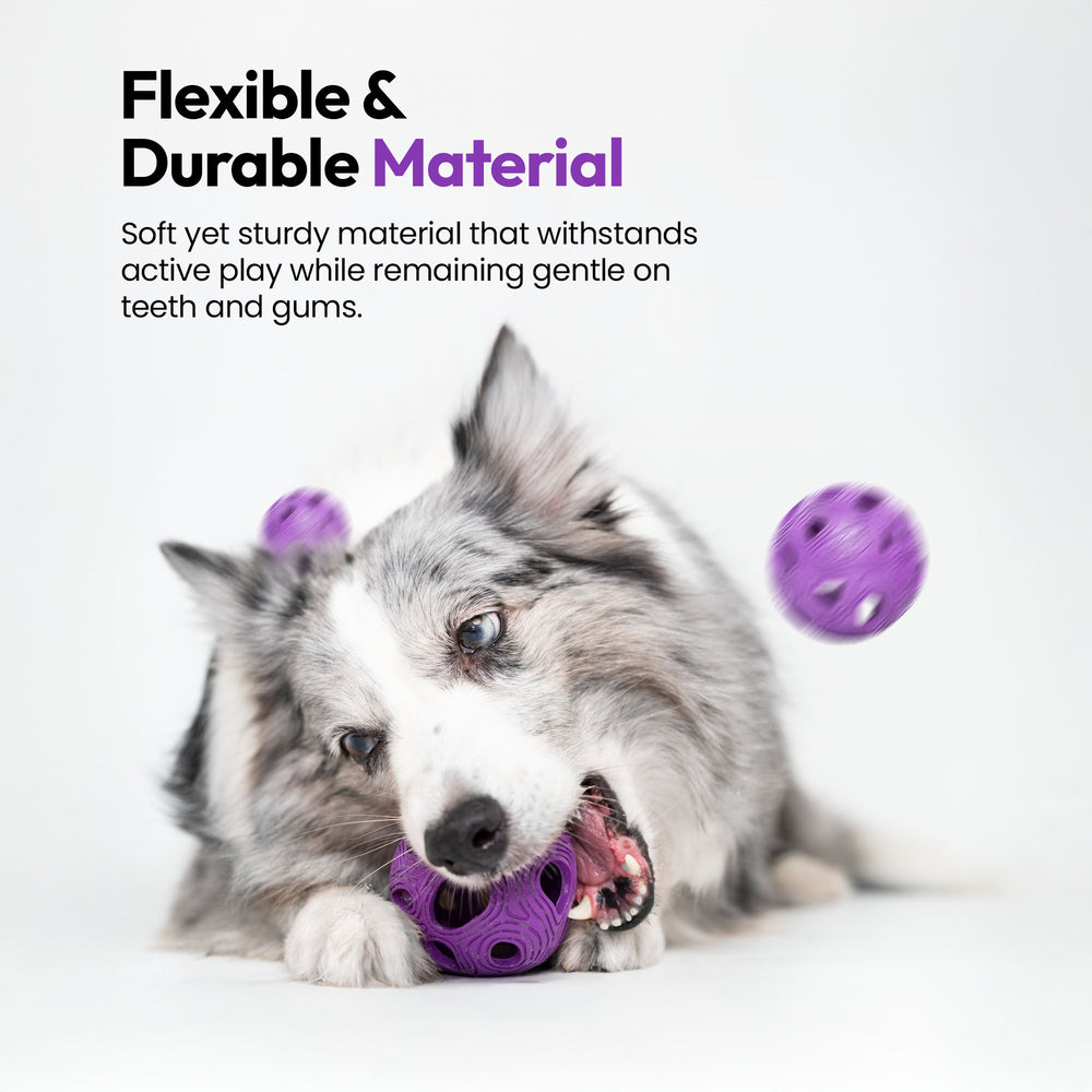 Chase & Sniff Bundle, Purple