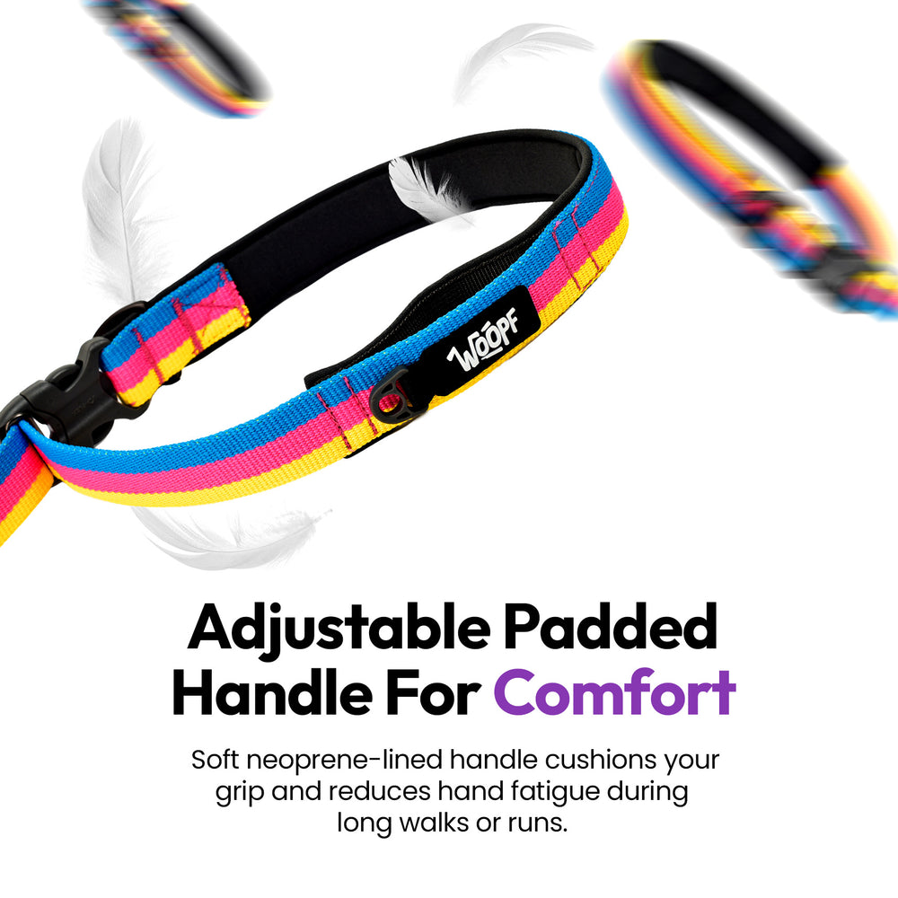 Explorer Bungee Leash, Rainbow