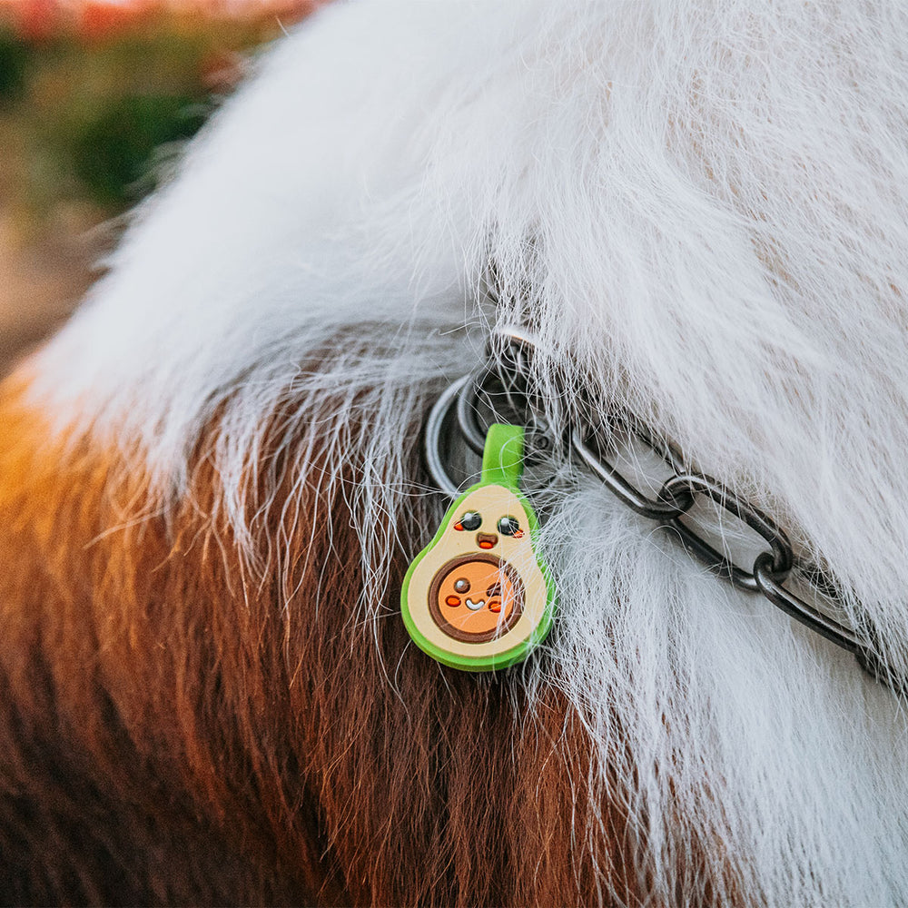 Smart ID Tag, Avocado