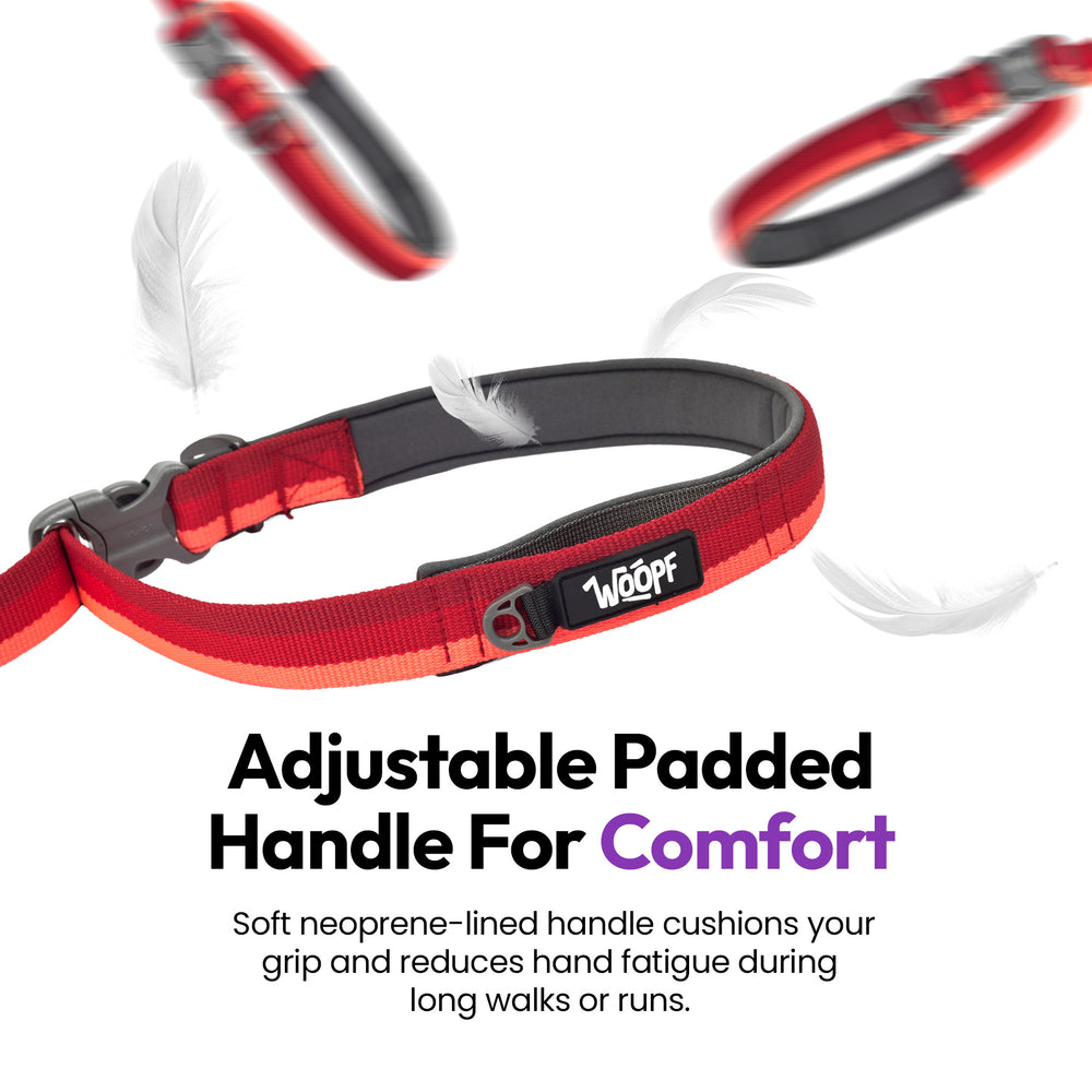 Explorer Bungee Leash, Red