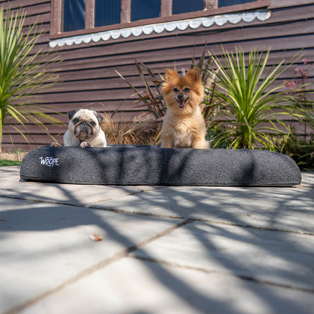 SNÜZ Bed Cover (Dig-Proof & Waterproof)