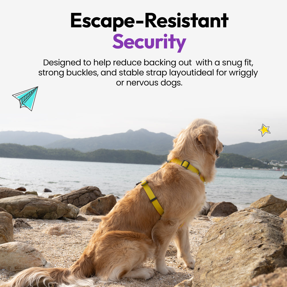 Sealskin Harness, Yellow