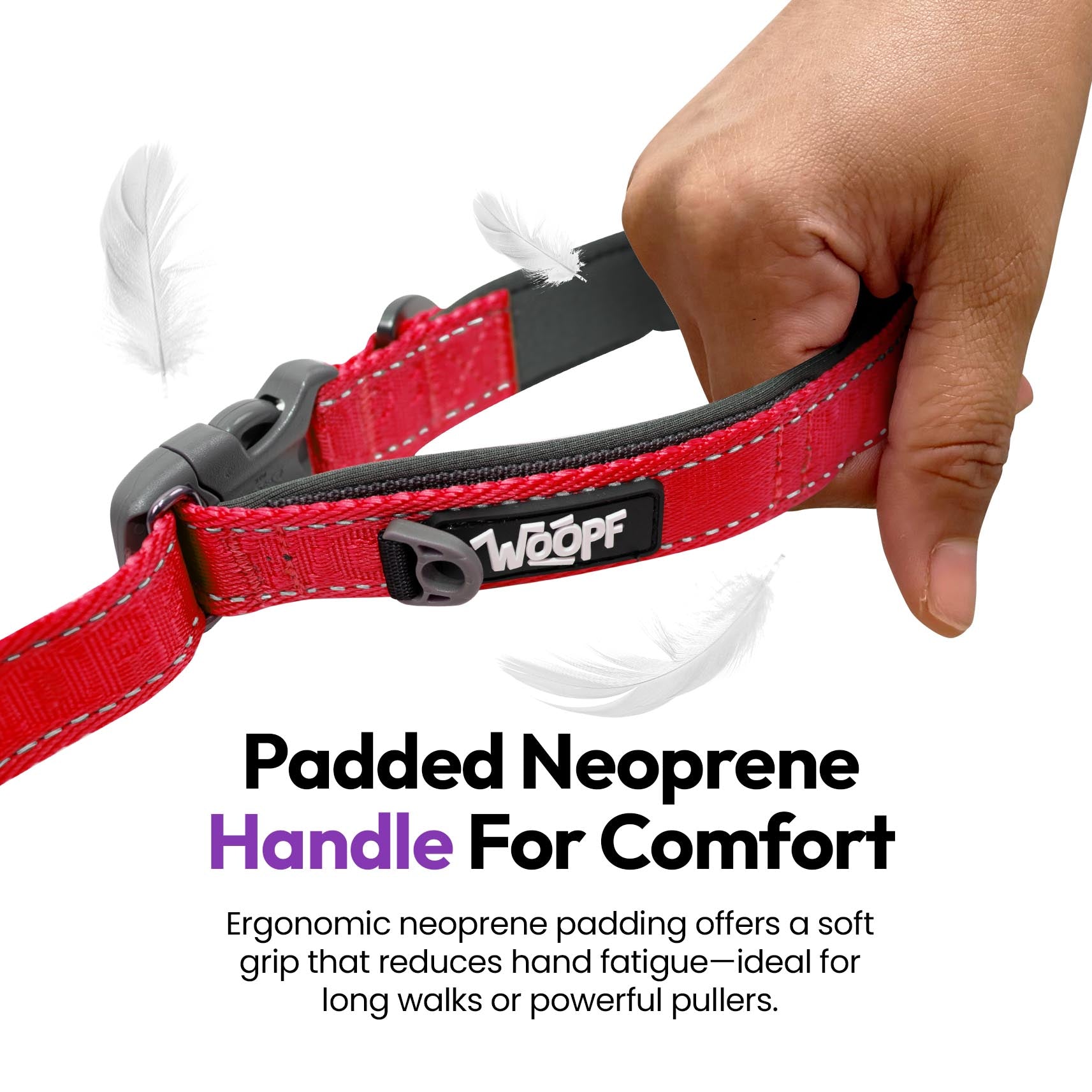 Laisse extensible Explorateur