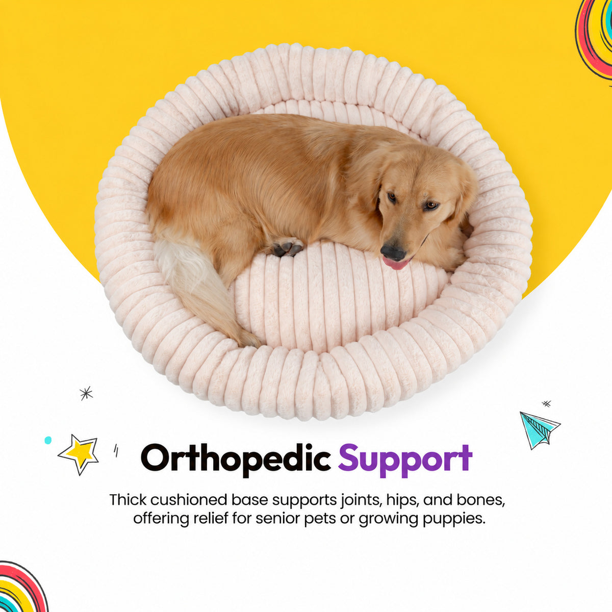 Pale pink | Furry Corduroy Round Bed: Golden retriever curled up in the Pale pink bed, seen from above, on a yellow graphic card